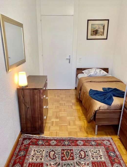 Appartement 7,0 Pieces 3 Chambres Proximite Aeroport 제네바 외부 사진